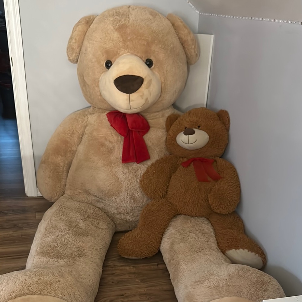 Giant teddy bear and medium size brown teddy bear